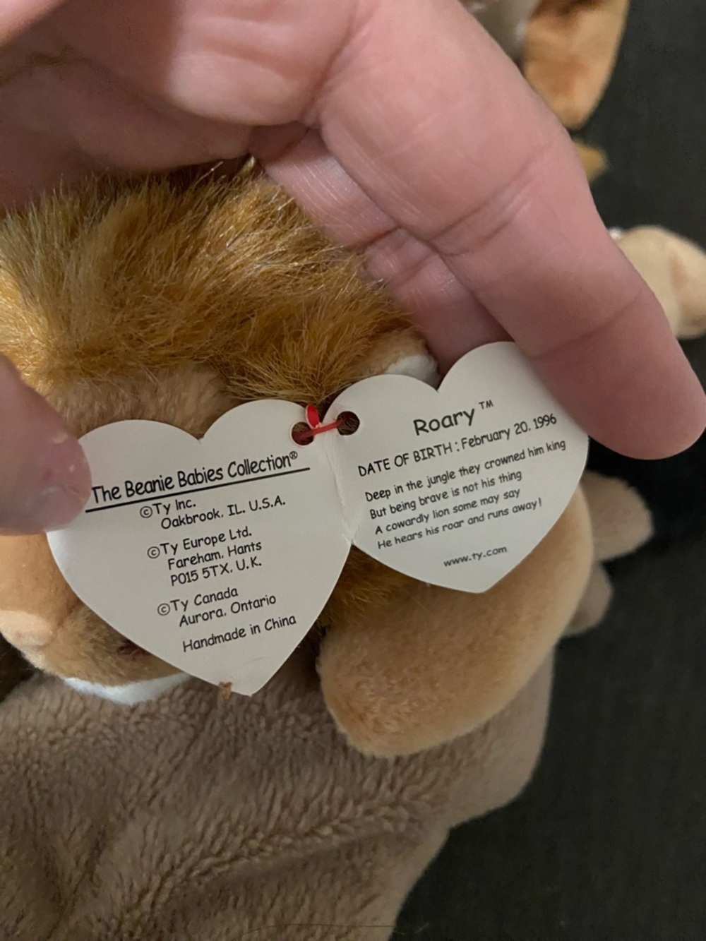 Ty Beanie Babies collection of 14 woodland animals 4 without tags - Picture 5 of 10